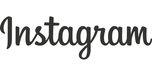 logo do instagram